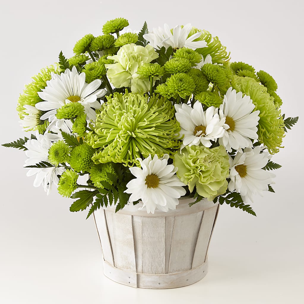 Lucky Charm Basket (Standard) – Flair Floral Designs, Lake Dallas TX
