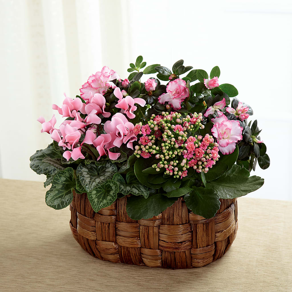 Pink Assortment – Flair Floral Designs, Lake Dallas TX