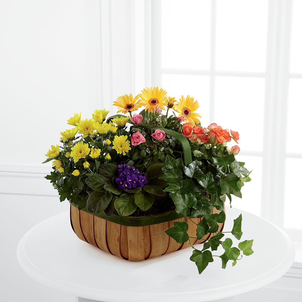Gentle Blossoms Basket – Flair Floral Designs, Lake Dallas TX