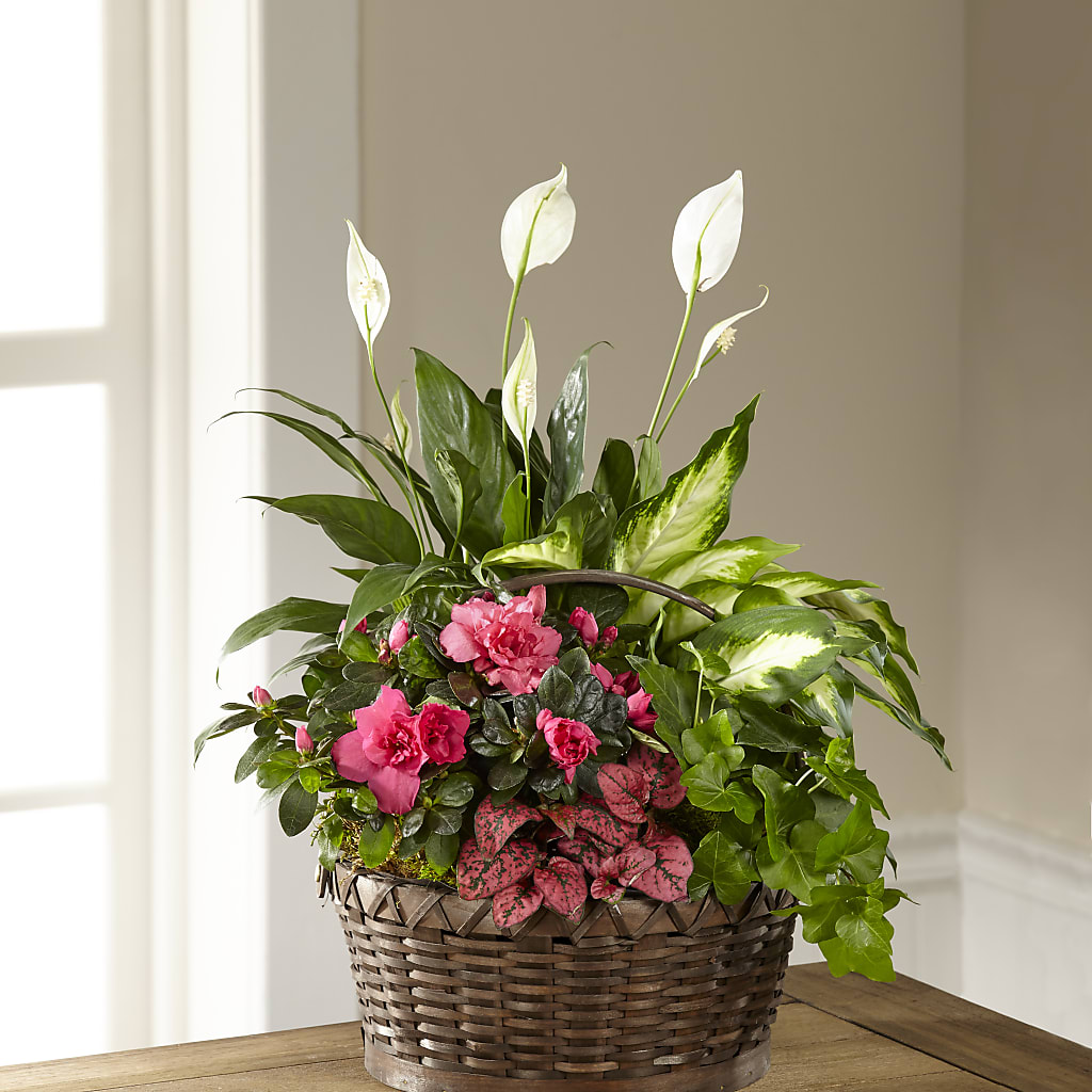 Dream in Pink Dishgarden – Flair Floral Designs, Lake Dallas TX