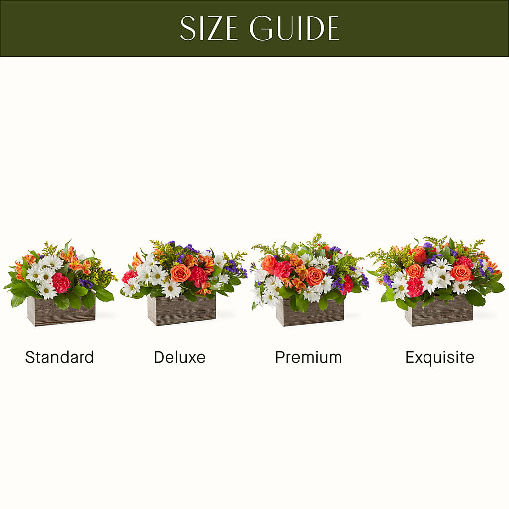 Oopsie Daisy Box Bouquet – Flair Floral Designs, Lake Dallas TX
