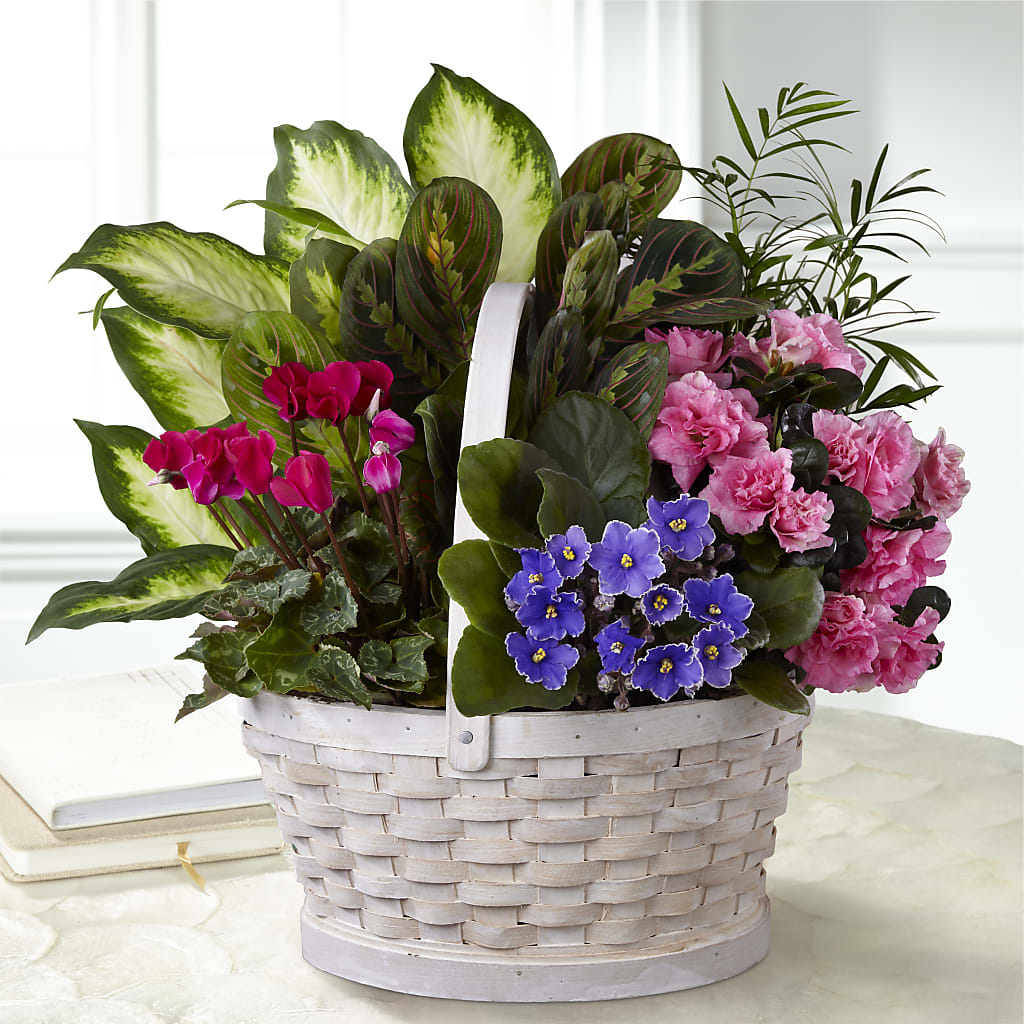 Peaceful Garden Planter – Flair Floral Designs, Lake Dallas TX