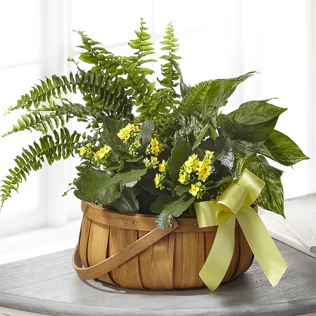 Always Dear Dishgarden – Flair Floral Designs, Lake Dallas TX