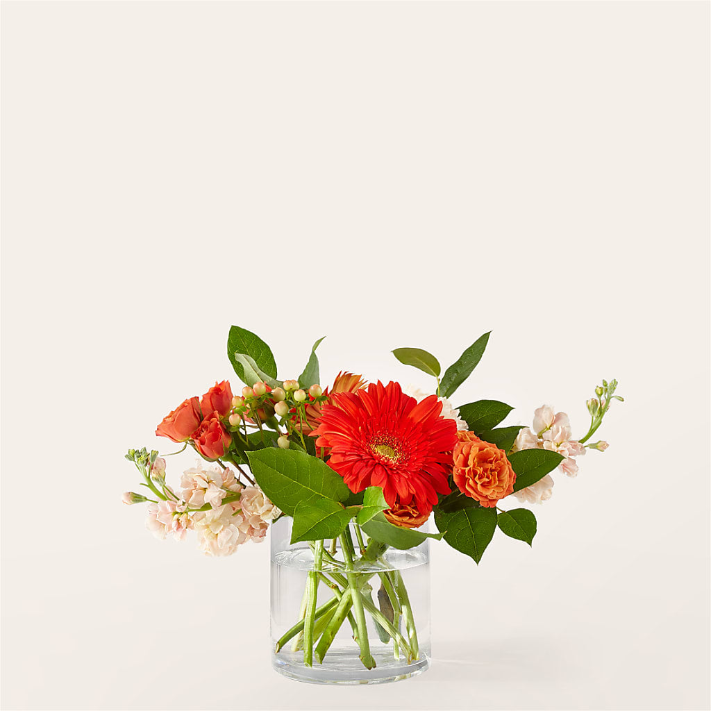 Paloma Please Bouquet – Flair Floral Designs, Lake Dallas TX