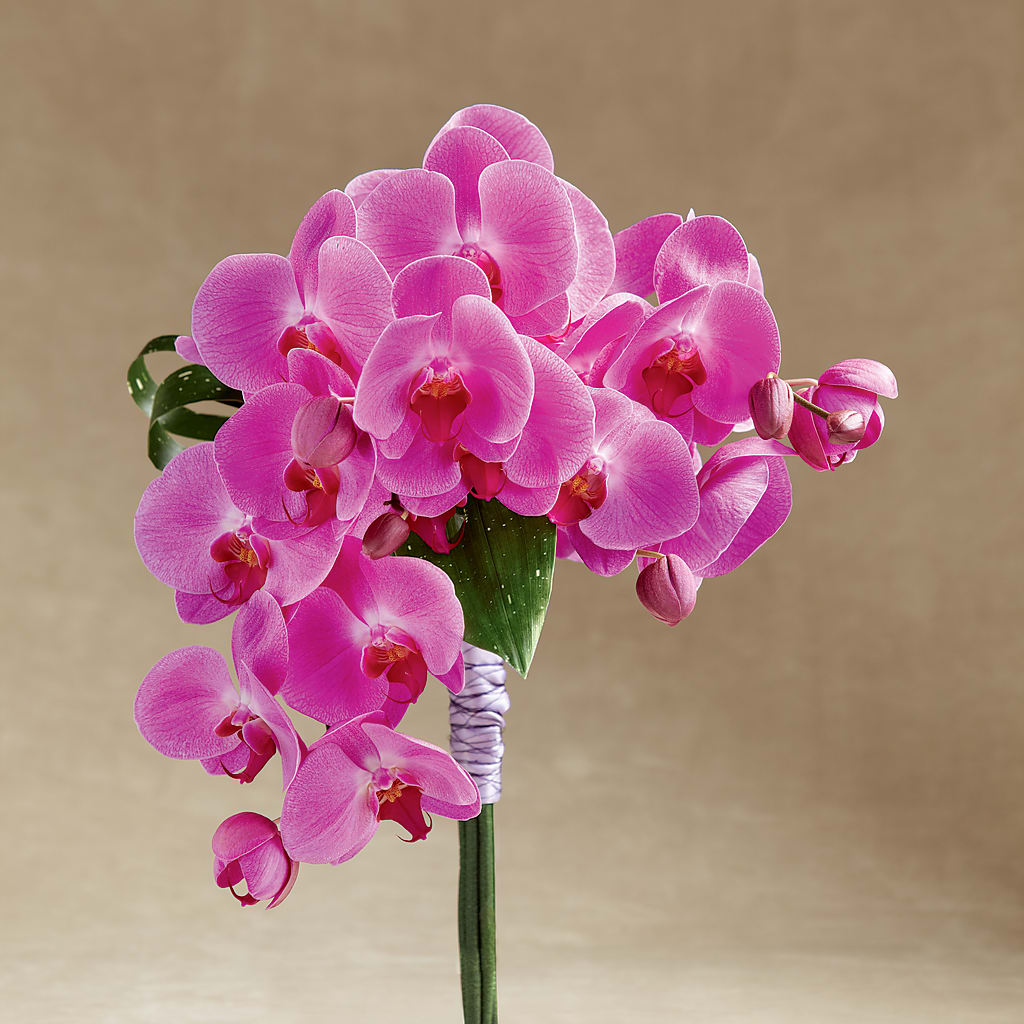 Glorious Bouquet – Flair Floral Designs, Lake Dallas TX