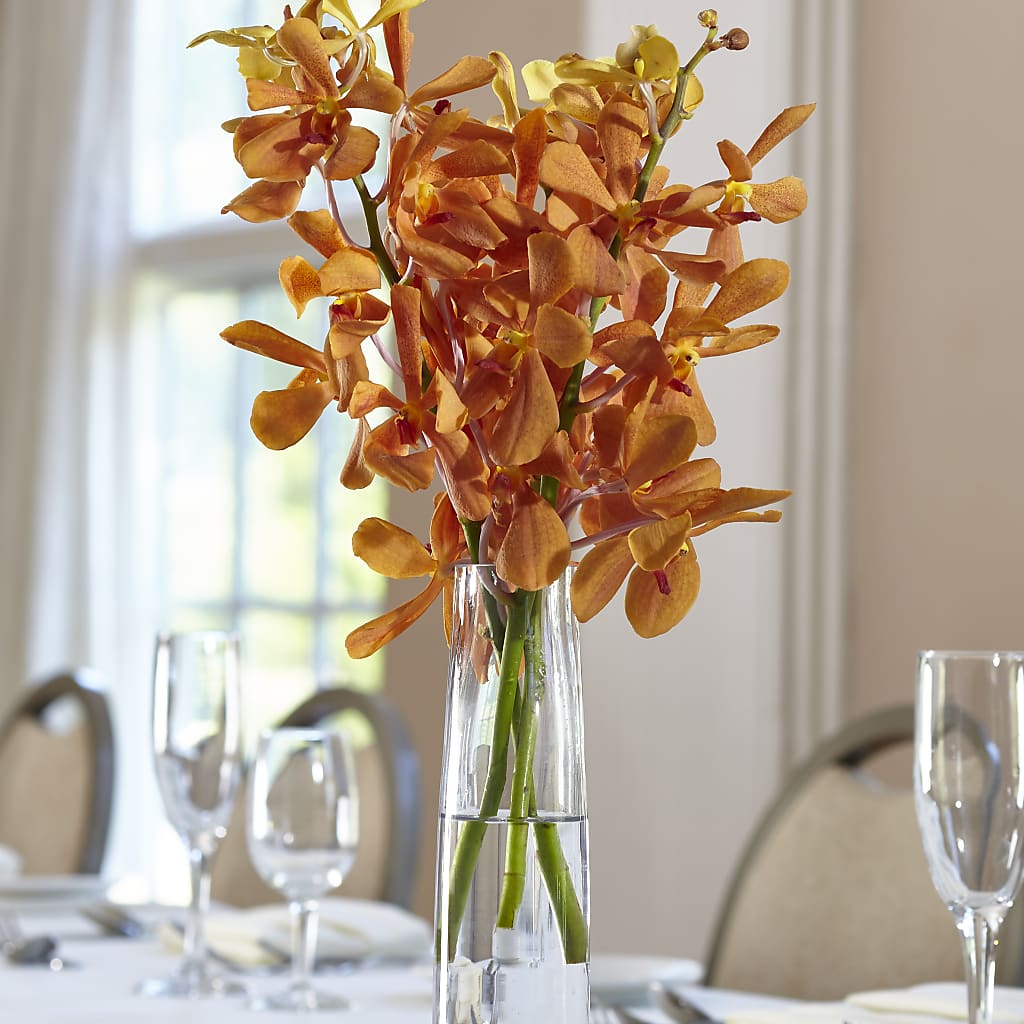 Orange Mokara Bud Vase – Flair Floral Designs, Lake Dallas TX