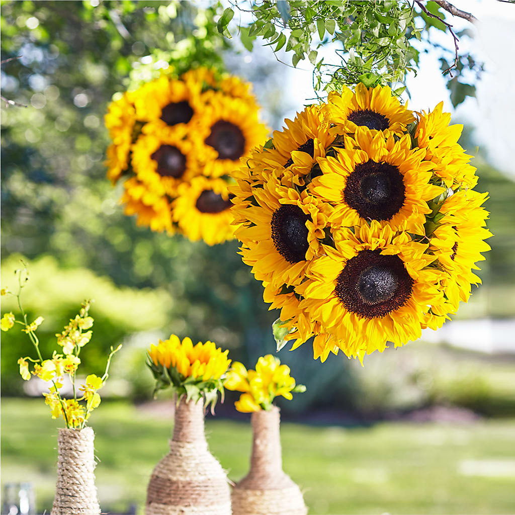 Sublime Garden Hanging Arrangement – Flair Floral Designs, Lake Dallas TX