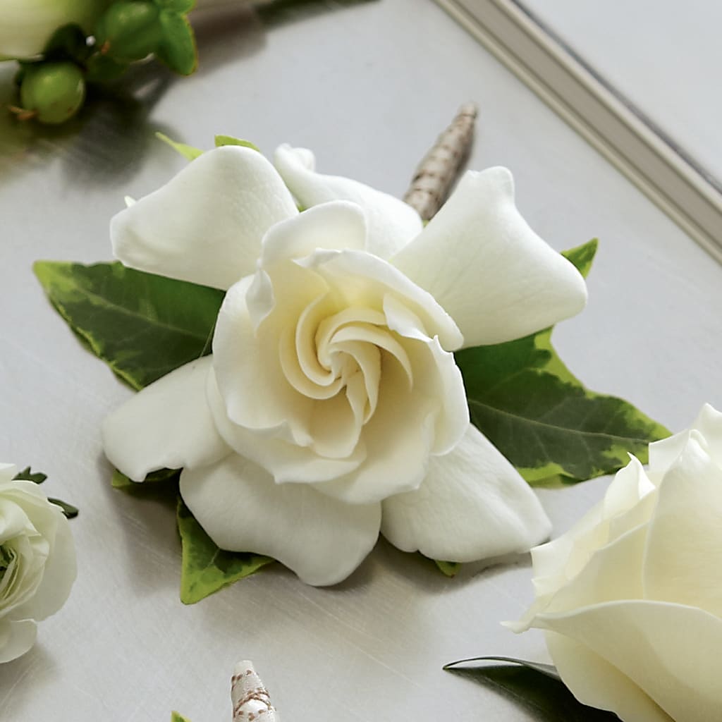 Gardenia Boutonniere – Flair Floral Designs, Lake Dallas TX