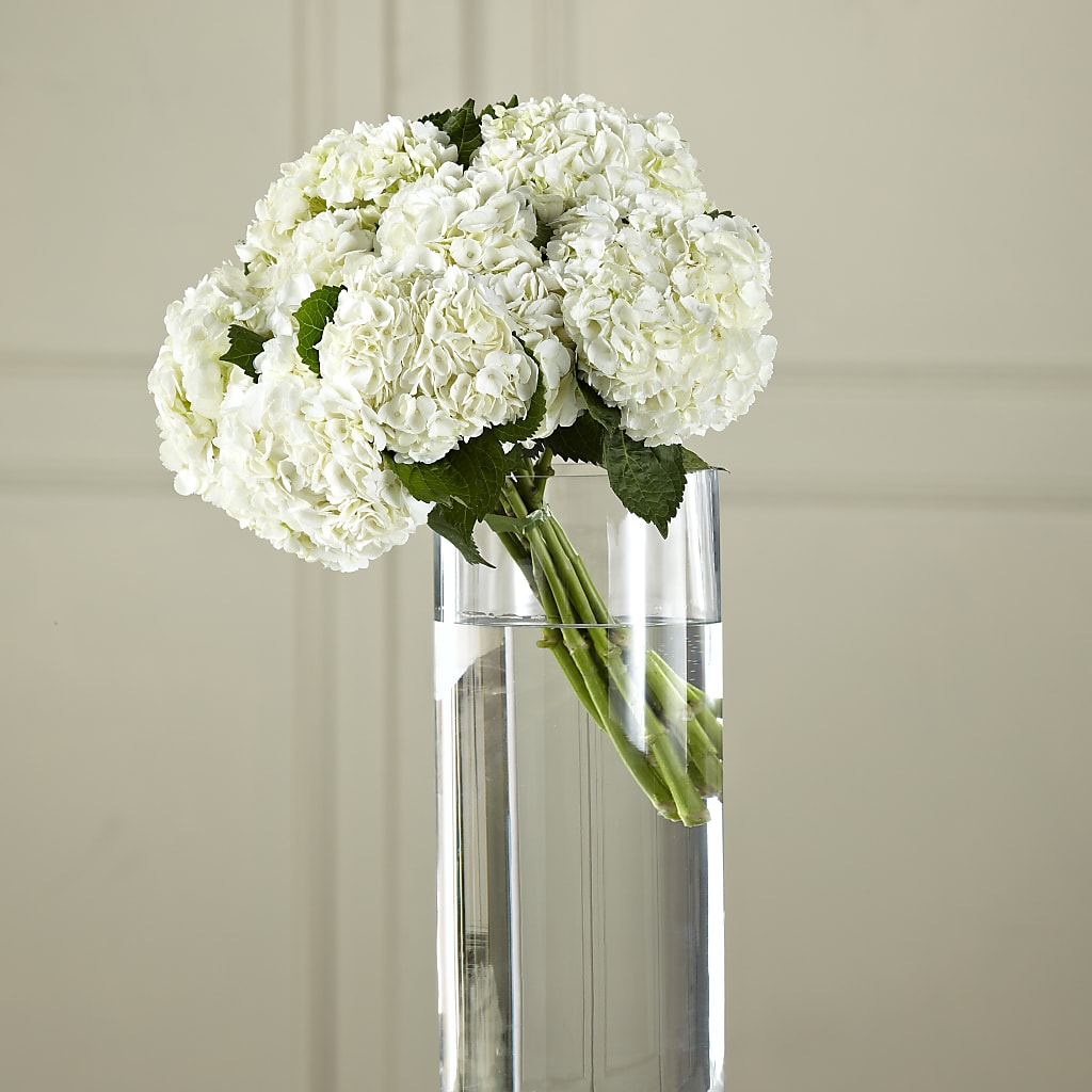 White Hydrangea Hand-Tied Bouquet – Flair Floral Designs, Lake Dallas TX