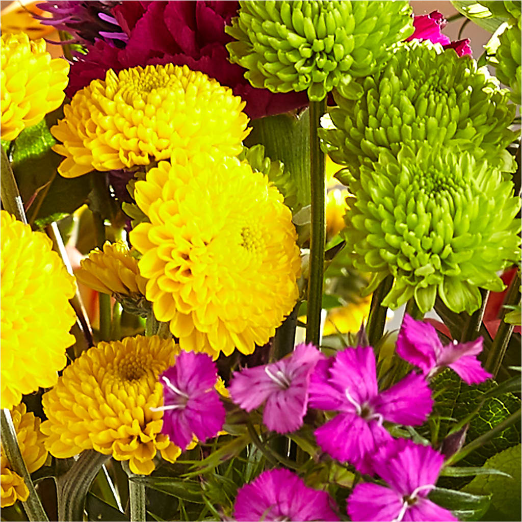 Bold & Bright – A Florist Original –  Flair Floral Designs, Lake Dallas TX