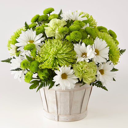 Lucky Charm Basket (Standard) –  Flair Floral Designs, Lake Dallas TX