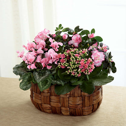 Pink Assortment –  Flair Floral Designs, Lake Dallas TX