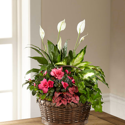 Dream in Pink Dishgarden –  Flair Floral Designs, Lake Dallas TX
