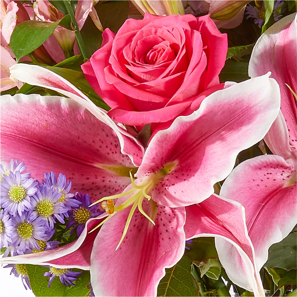Written in the Stars Bouquet –  Flair Floral Designs, Lake Dallas TX