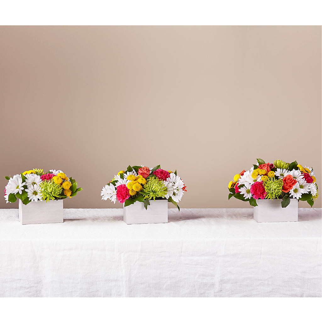 Sorbet Bouquet –  Flair Floral Designs, Lake Dallas TX