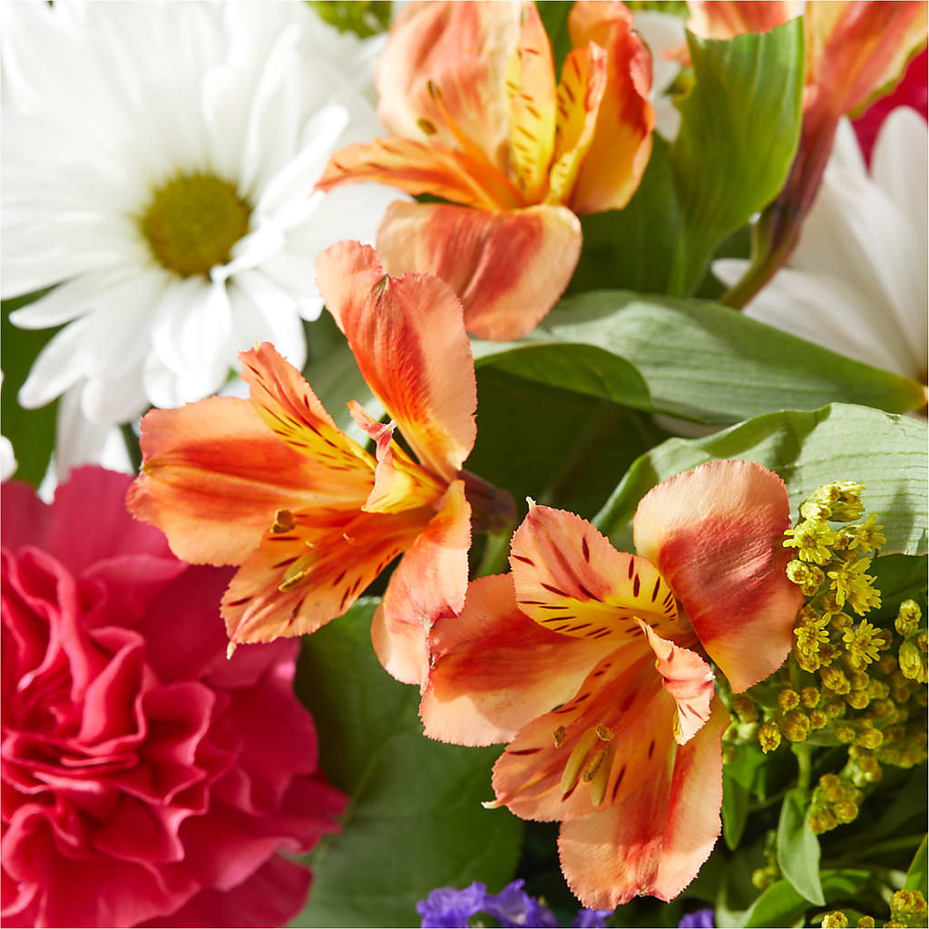 Oopsie Daisy Box Bouquet –  Flair Floral Designs, Lake Dallas TX