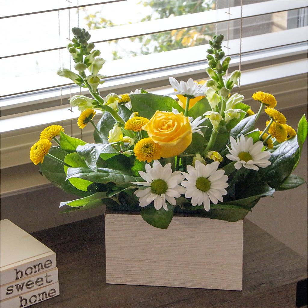 Sun Salutation Box Bouquet –  Flair Floral Designs, Lake Dallas TX