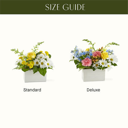 Sun Salutation Box Bouquet –  Flair Floral Designs, Lake Dallas TX