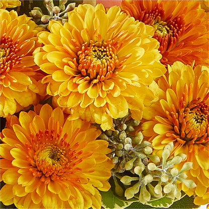 Peachy Pumpkin –  Flair Floral Designs, Lake Dallas TX