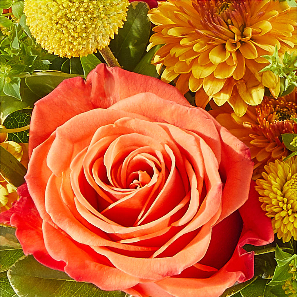 Gourdgeous Pumpkin –  Flair Floral Designs, Lake Dallas TX