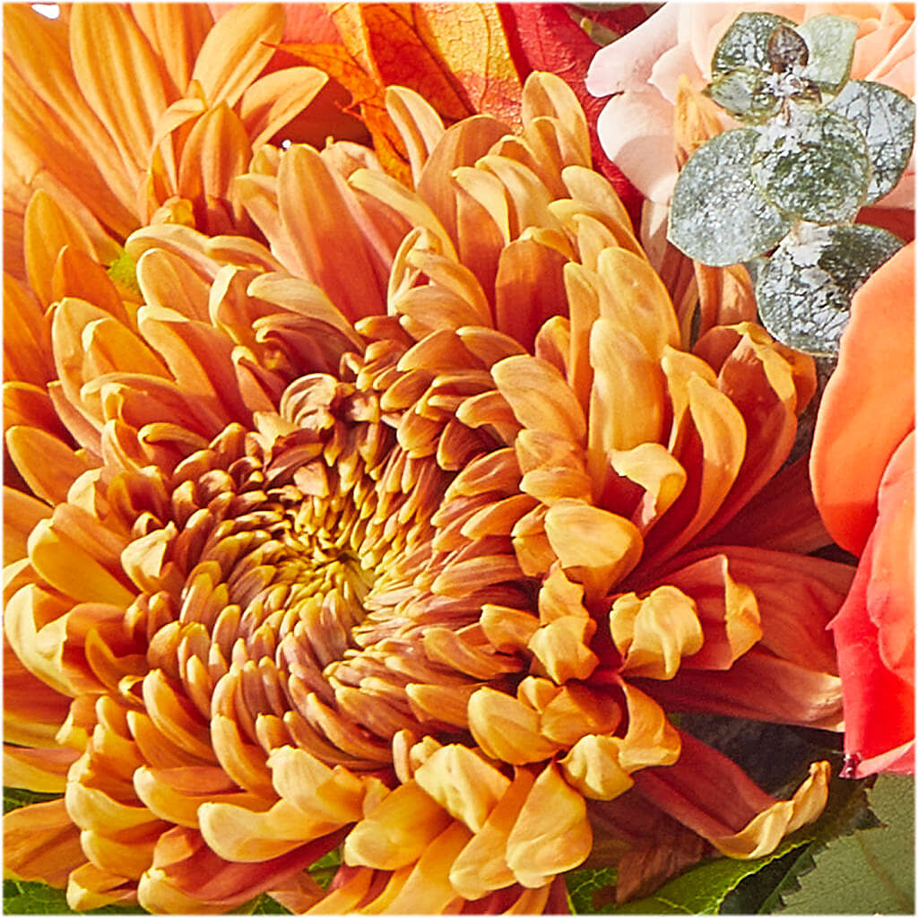 Scenic Route Bouquet –  Flair Floral Designs, Lake Dallas TX