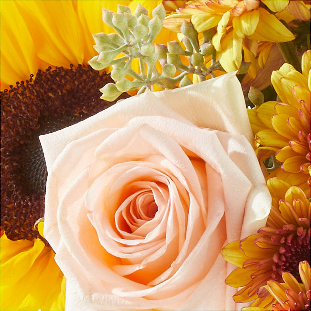 Pumpkin to Talk About Bouquet –  Flair Floral Designs, Lake Dallas TX