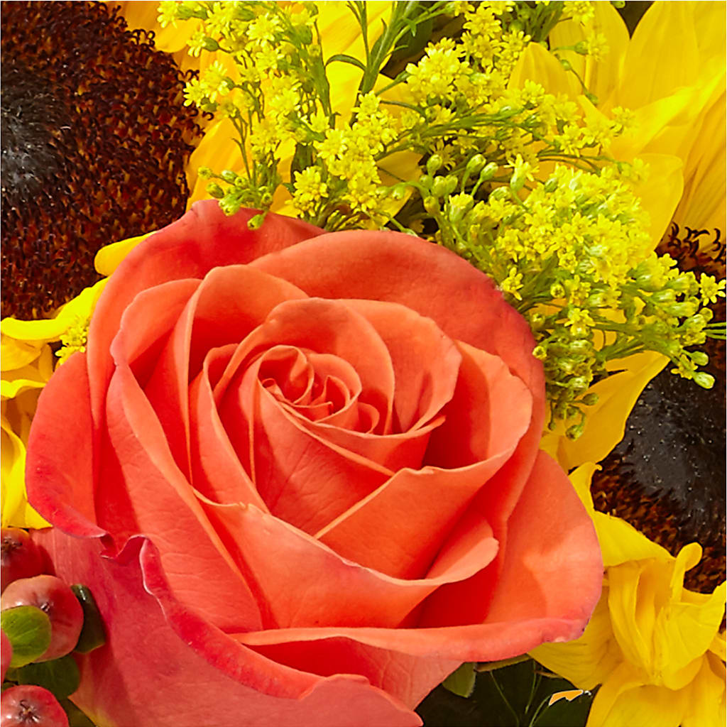Pick of the Patch Pumpkin Bouquet –  Flair Floral Designs, Lake Dallas TX