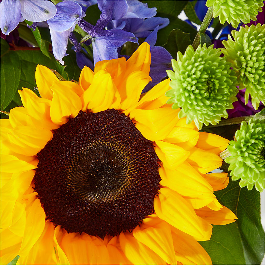 Catching Rays Bouquet –  Flair Floral Designs, Lake Dallas TX