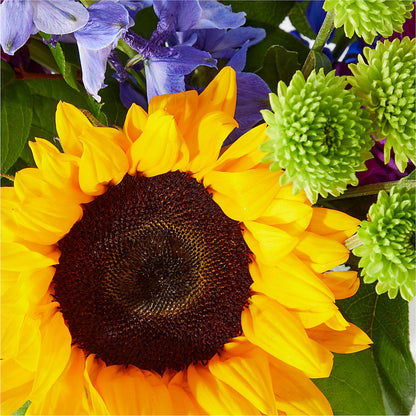 Catching Rays Bouquet –  Flair Floral Designs, Lake Dallas TX