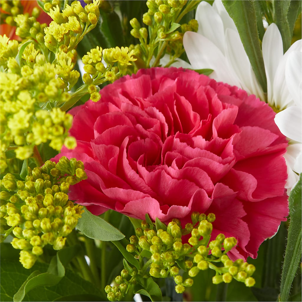 Oopsie Daisy Bouquet –  Flair Floral Designs, Lake Dallas TX