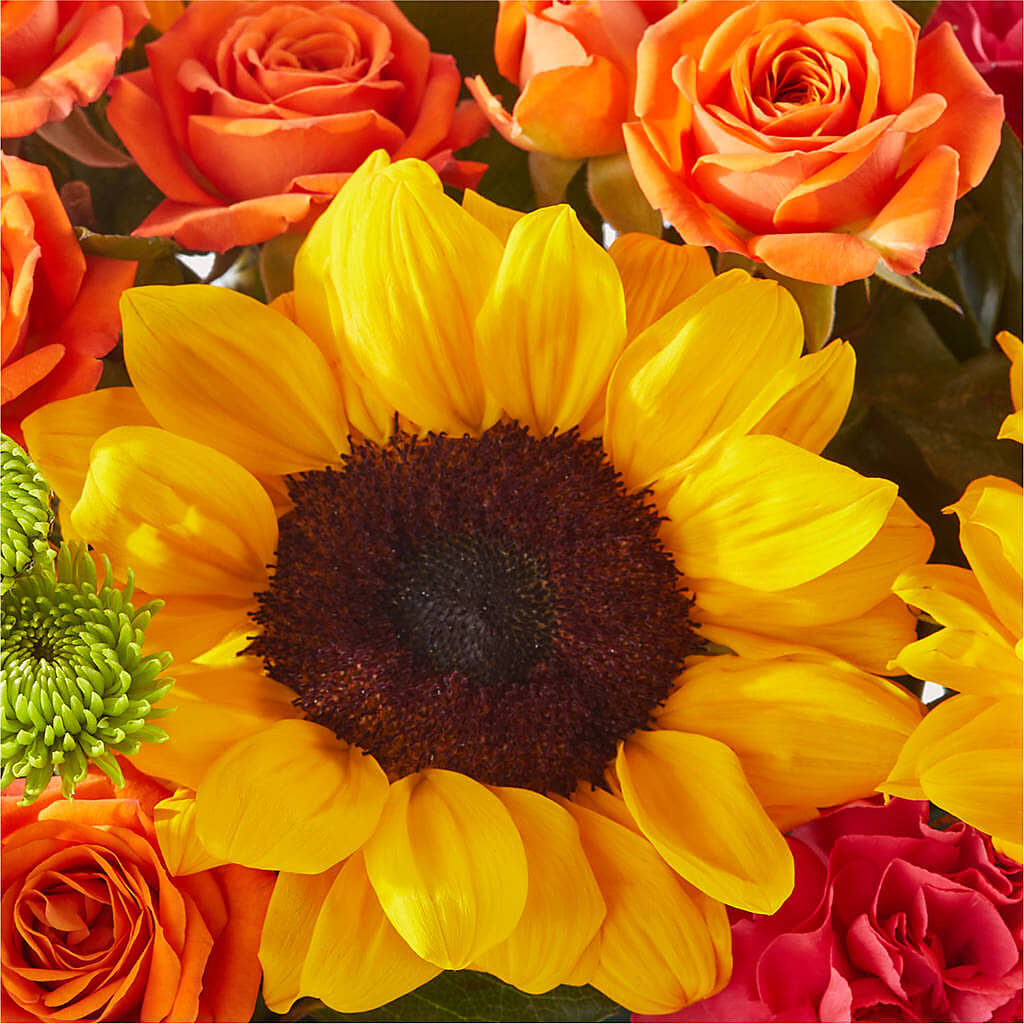 Sun-drenched Blooms Box Bouquet –  Flair Floral Designs, Lake Dallas TX