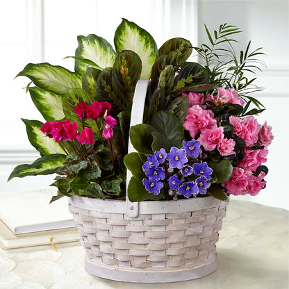 Peaceful Garden Planter –  Flair Floral Designs, Lake Dallas TX