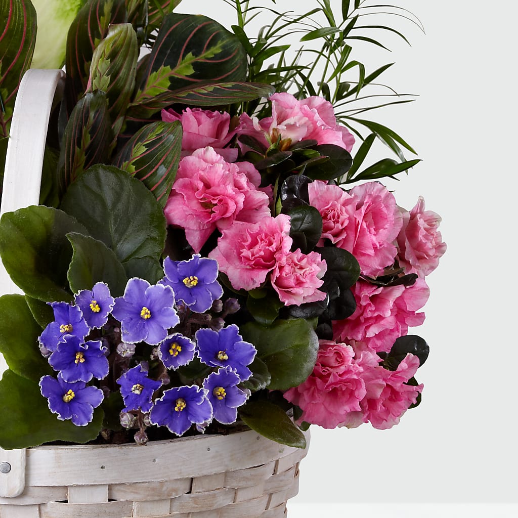 Peaceful Garden Planter –  Flair Floral Designs, Lake Dallas TX