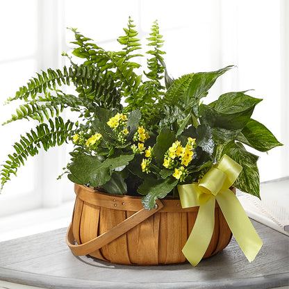 Always Dear Dishgarden –  Flair Floral Designs, Lake Dallas TX