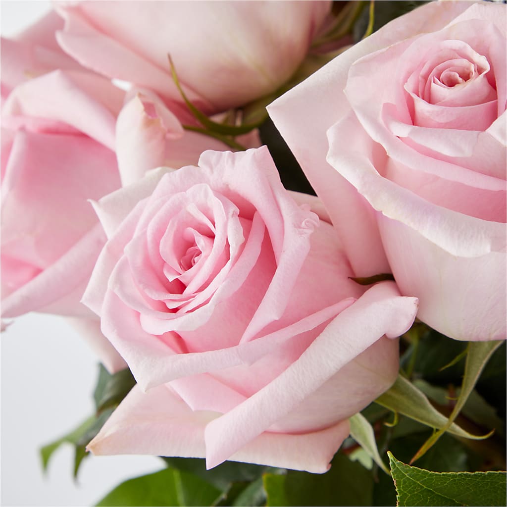 Picture Perfect Pink Rose Bouquet –  Flair Floral Designs, Lake Dallas TX