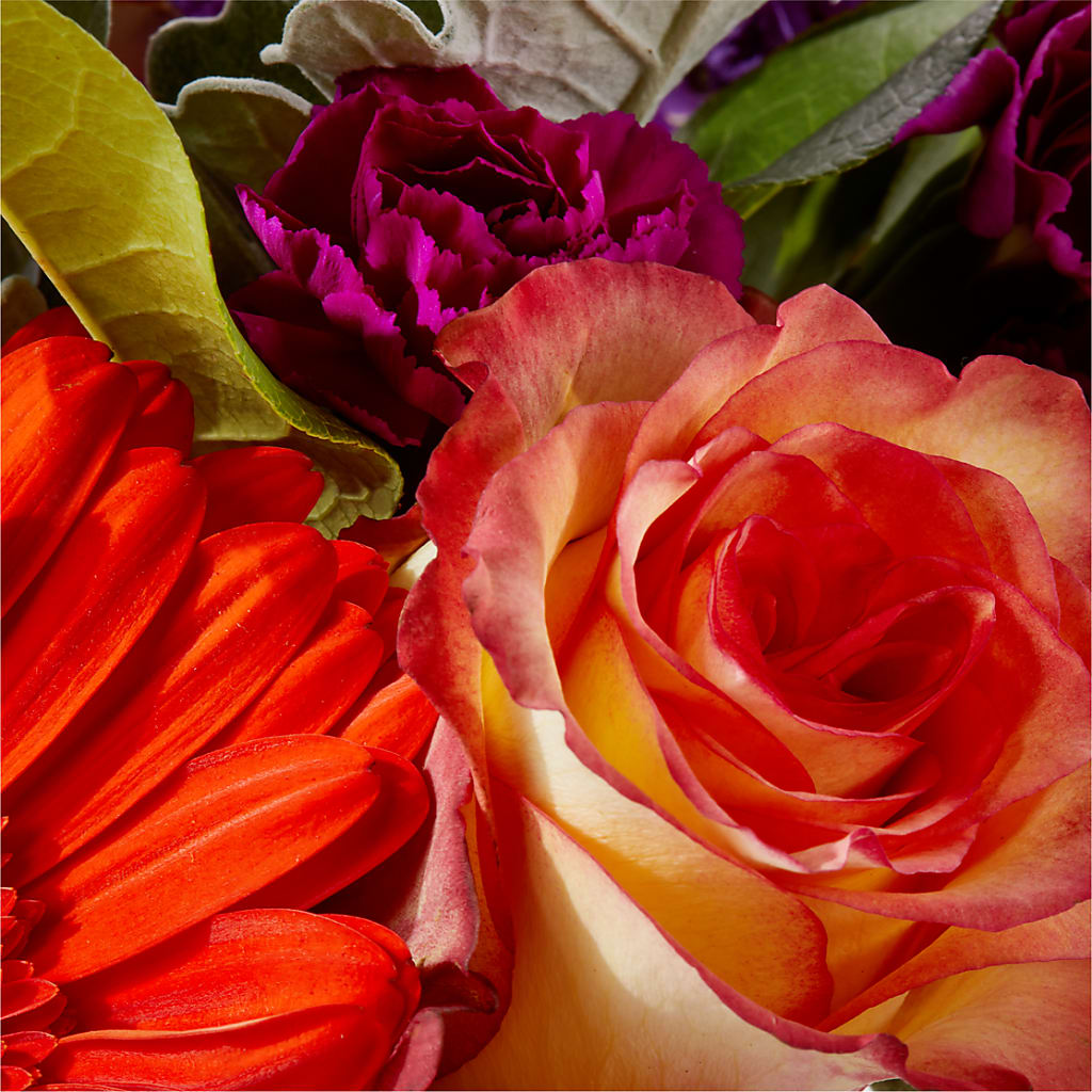 Sangria Bouquet –  Flair Floral Designs, Lake Dallas TX
