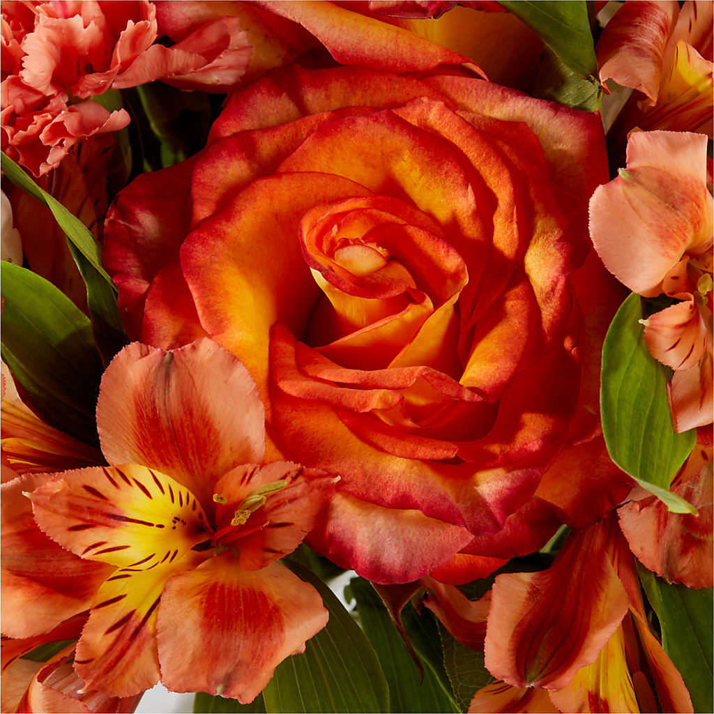 Apricot Glow Bouquet –  Flair Floral Designs, Lake Dallas TX