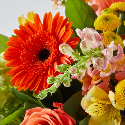 Autumn Sunshine Bouquet –  Flair Floral Designs, Lake Dallas TX
