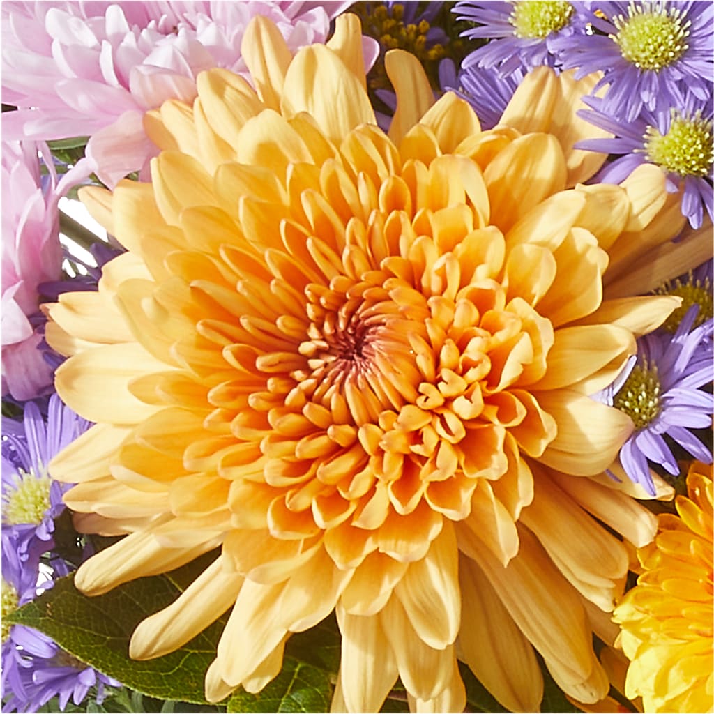 Countryside Bouquet –  Flair Floral Designs, Lake Dallas TX