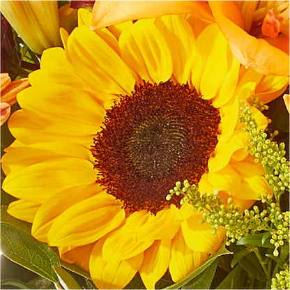 Seasons Change Bouquet –  Flair Floral Designs, Lake Dallas TX