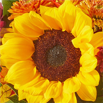 Sunny Side Bouquet –  Flair Floral Designs, Lake Dallas TX