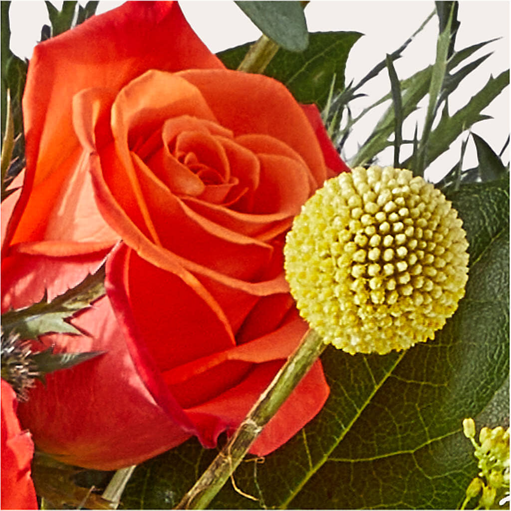 Disco Bouquet –  Flair Floral Designs, Lake Dallas TX