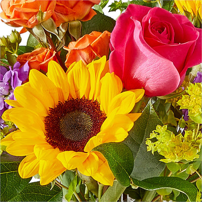 Vibrant Greetings Bouquet –  Flair Floral Designs, Lake Dallas TX