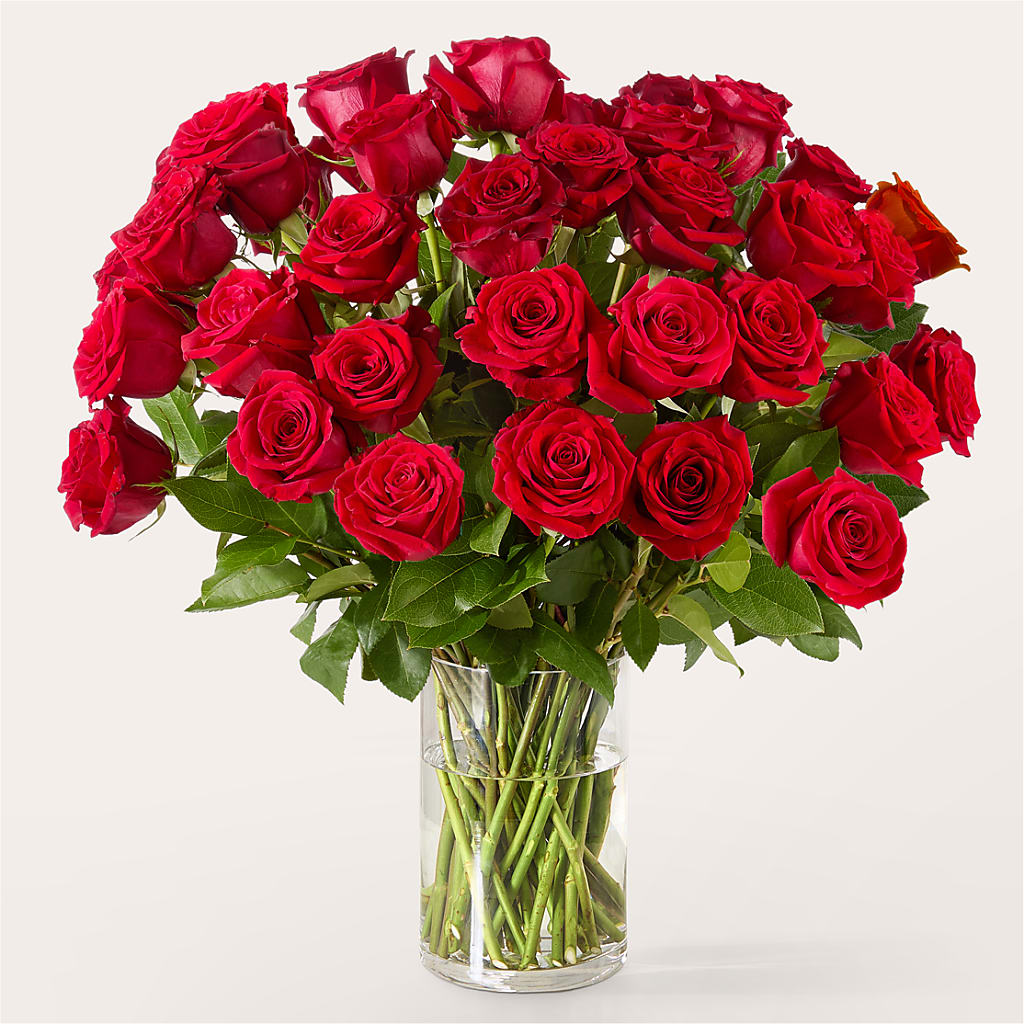 The One Red Rose Bouquet –  Flair Floral Designs, Lake Dallas TX