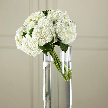 White Hydrangea Hand-Tied Bouquet –  Flair Floral Designs, Lake Dallas TX